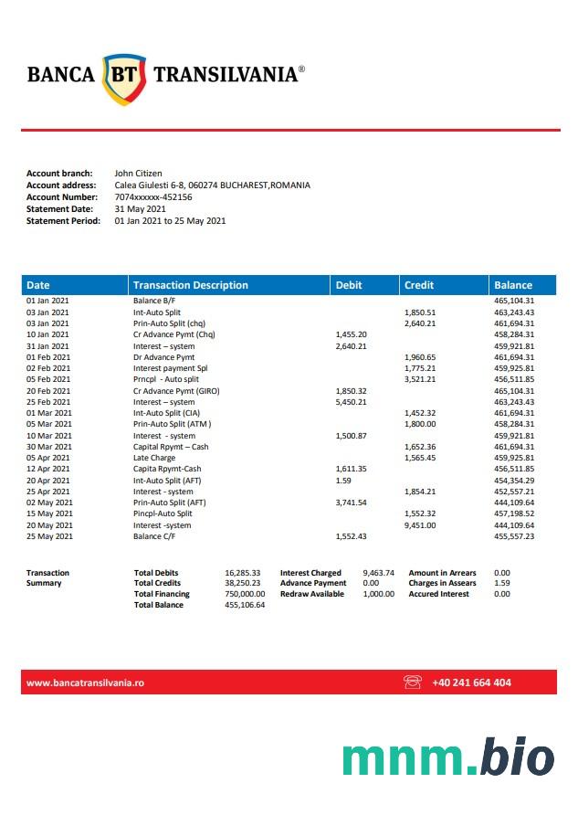 Rumunia Banca Transilvania szablon w formacie excel pdf